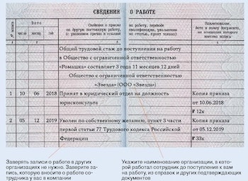 Минтруд ответил, какую трудовую нужно оформить новичку в случае ее утраты