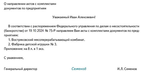 Образец сопроводительного письма с обоснованием