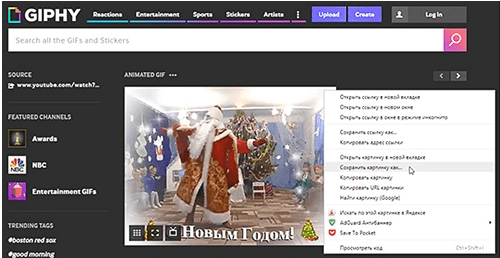 Пользовательский экран программы GIPHY