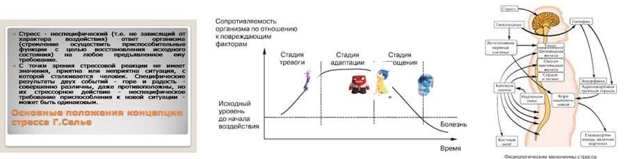 Портрет профессии. Кто он - идеальный секретарь руководителя?