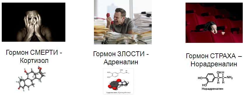 Портрет профессии. Кто он - идеальный секретарь руководителя?